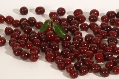 Sour cherry