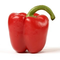 pritamin paprika